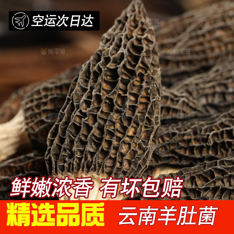 一篮干羊肚菌