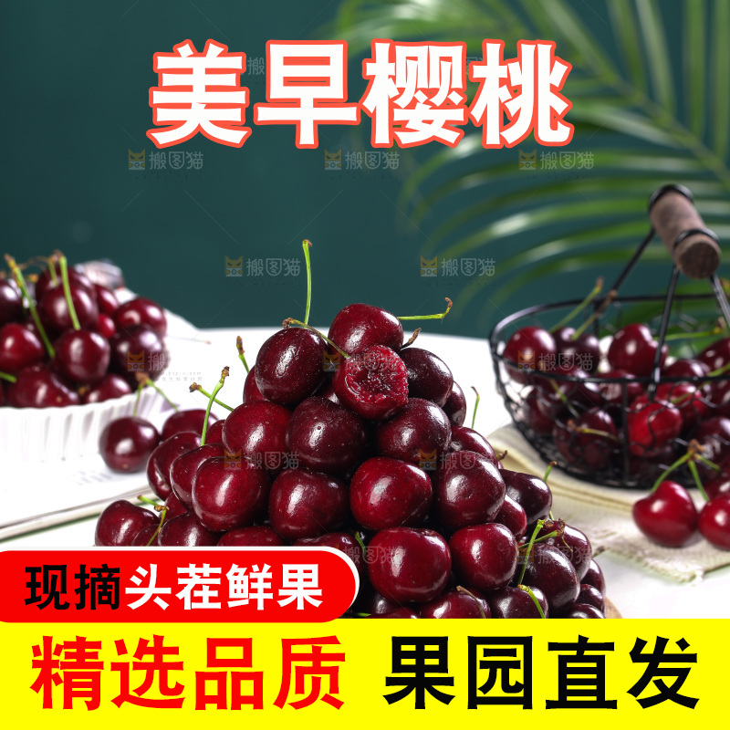 一堆山东大樱桃