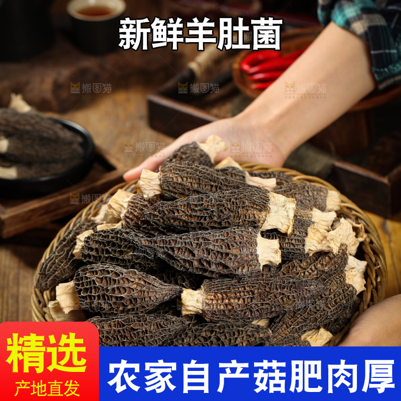 手里端着一篮羊肚菌