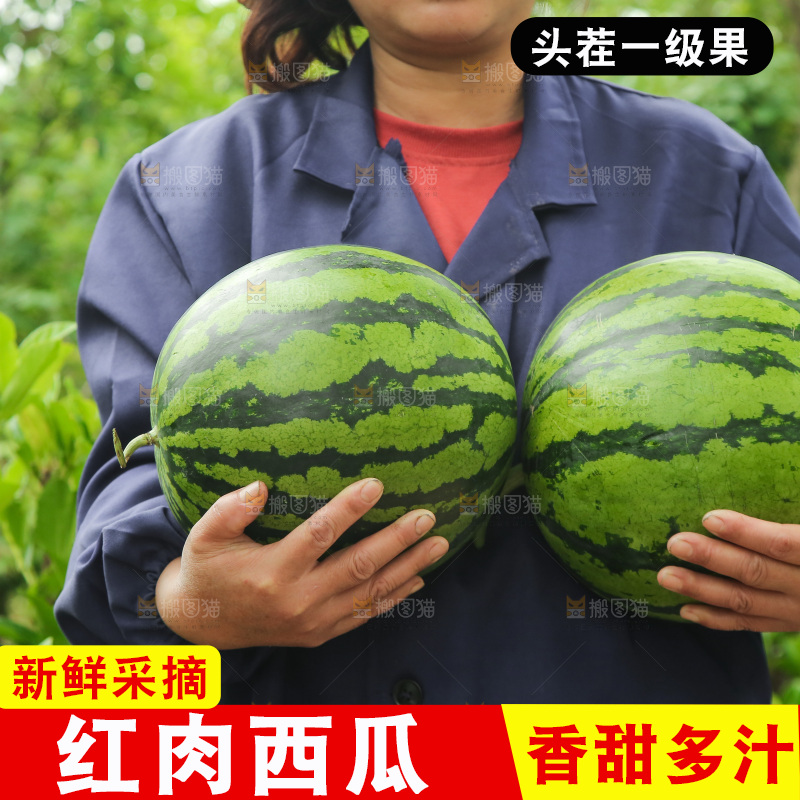 手里抱着西瓜