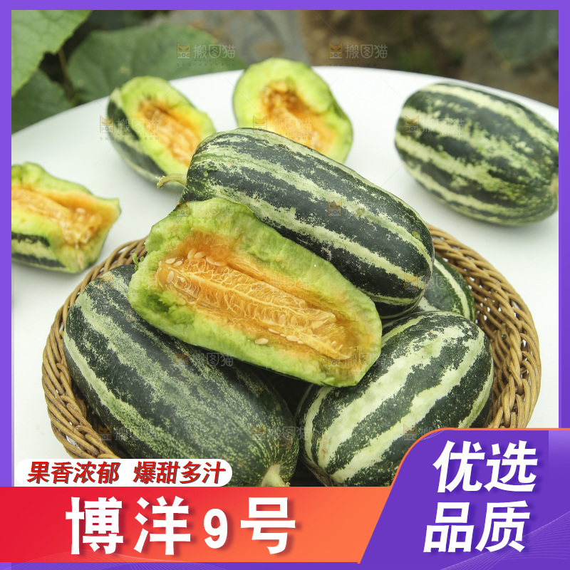 桌子上放着一篮博洋9号