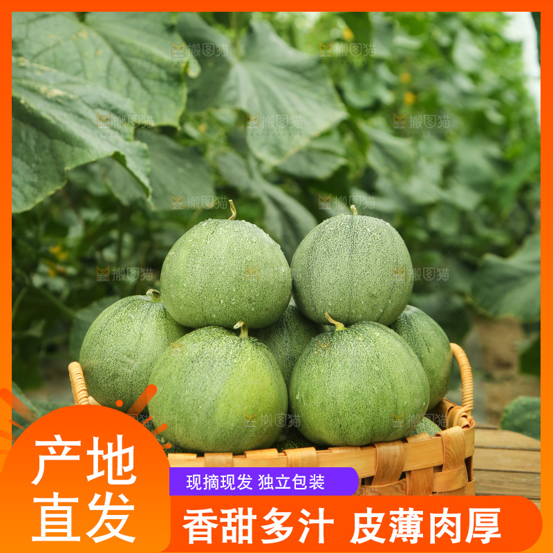 桌子上放着一篮绿宝甜瓜