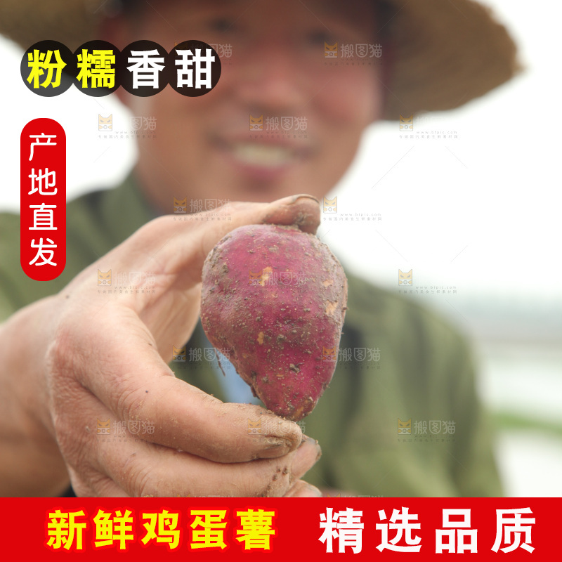 手里拿着鸡蛋小香薯