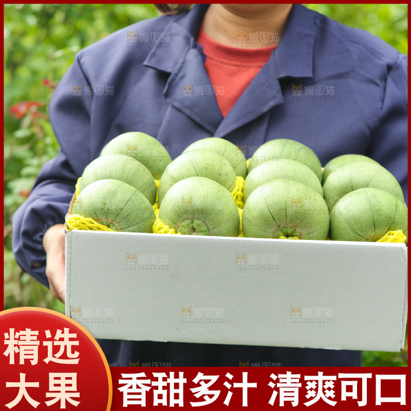 手里端着一箱绿宝甜瓜