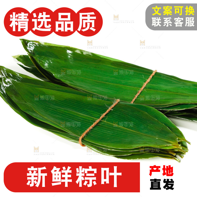 白底上放着新鲜粽叶