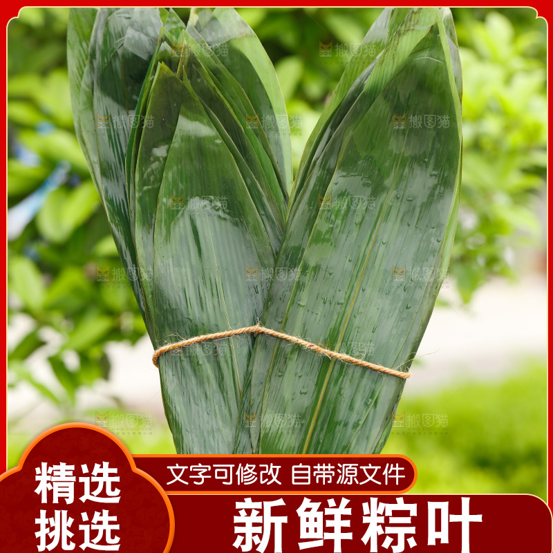 手拿着新鲜粽叶