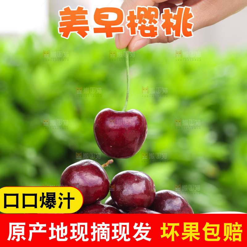 手里捧着车厘子