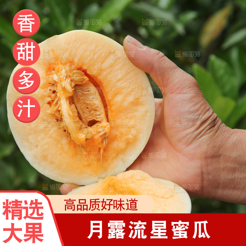 掰成两半的红心月露流星蜜瓜