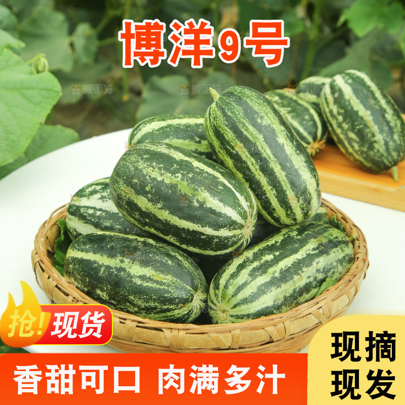 桌子上放着一篮博洋9号