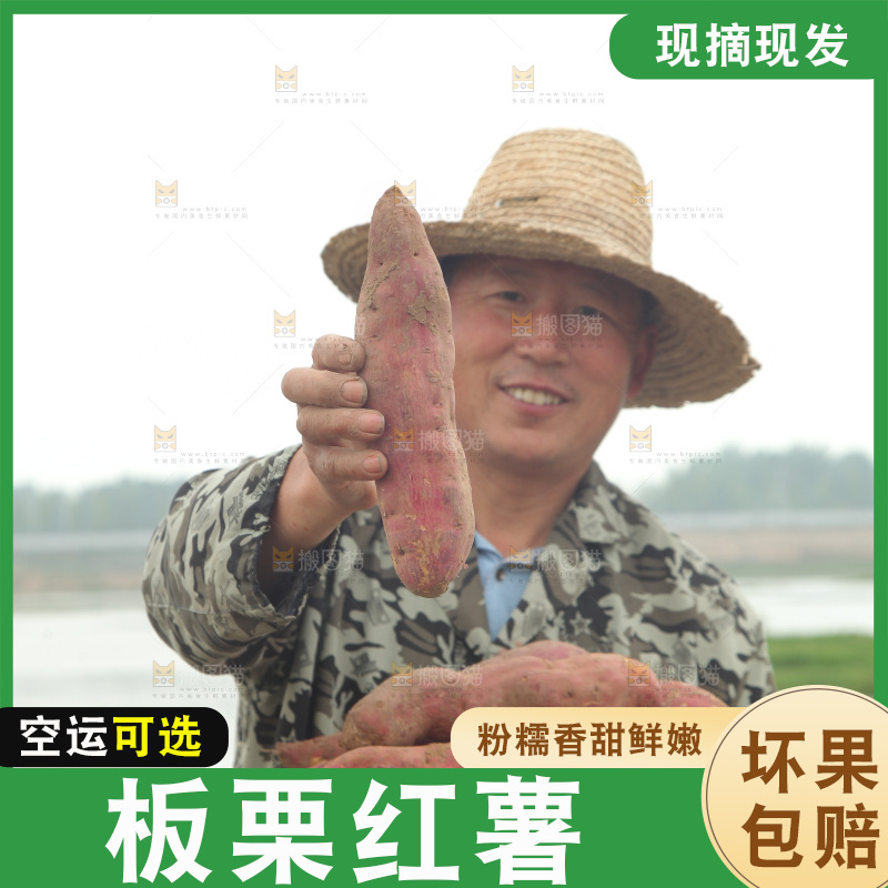 手里端着一箱板栗薯