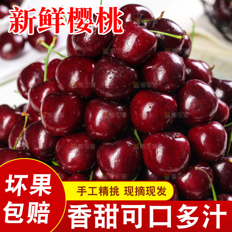 一堆山东大樱桃