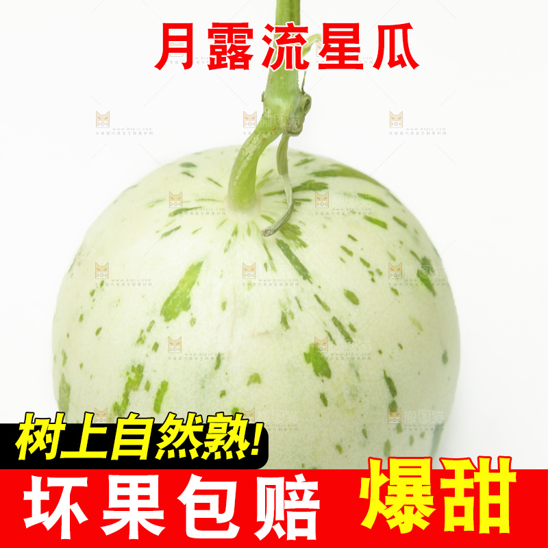 白底上摆放着月露流星蜜瓜