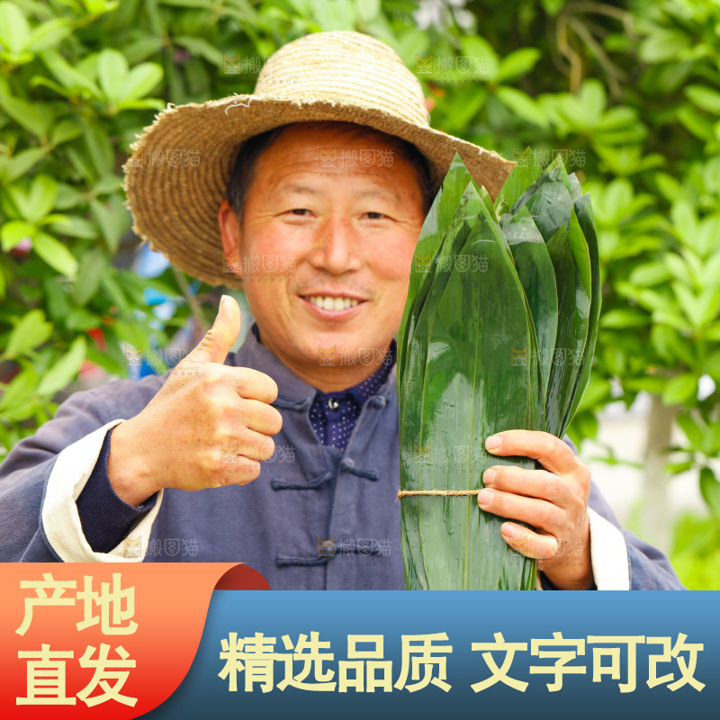 手拿着新鲜粽叶