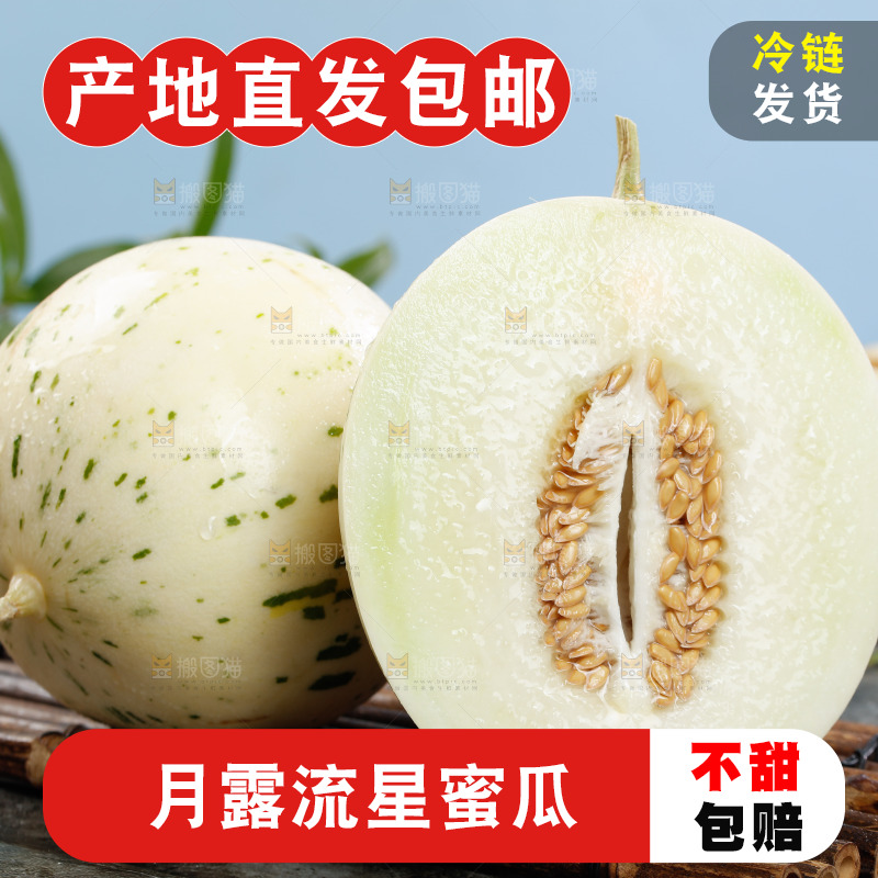 新鲜的月露流星蜜瓜