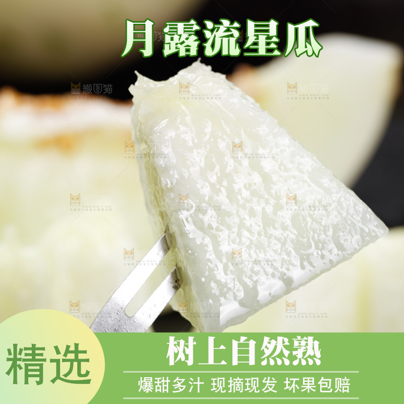 叉子上插着月露蜜瓜果肉