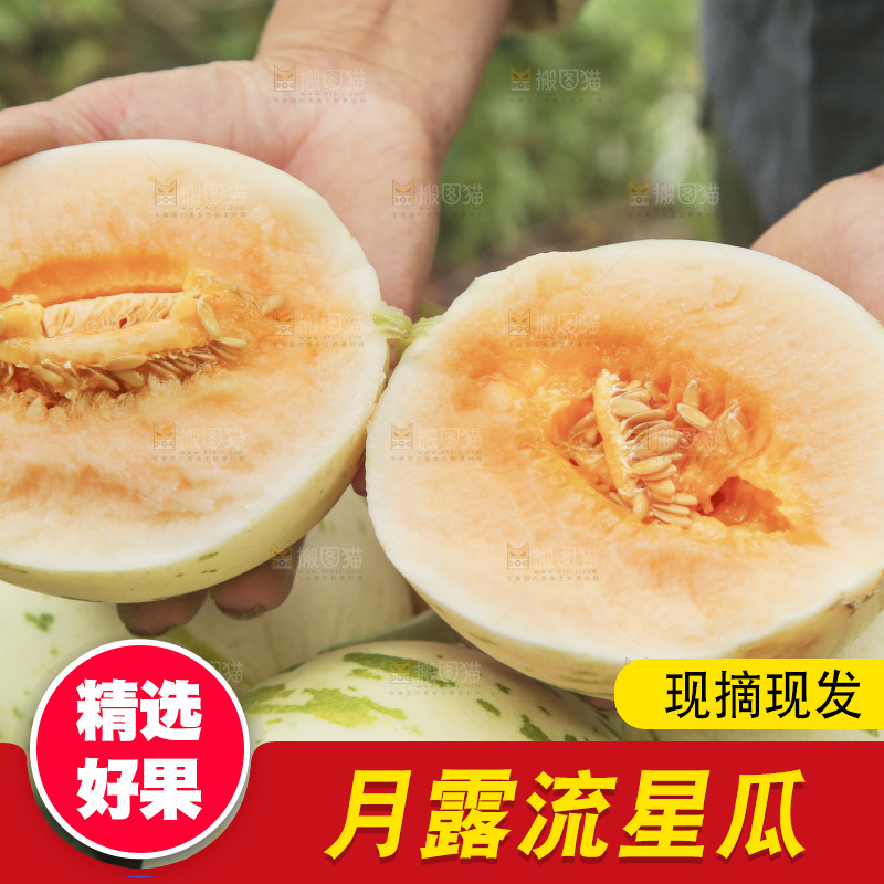 手里拿着红心月露流星蜜瓜