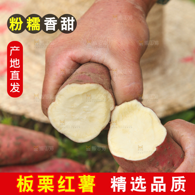 掰成两节的白心红薯