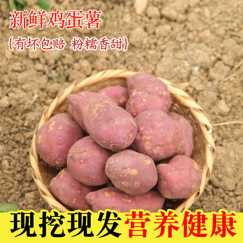 一篮新鲜鸡蛋薯