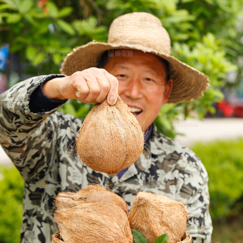 手里端着一篮海南老椰子