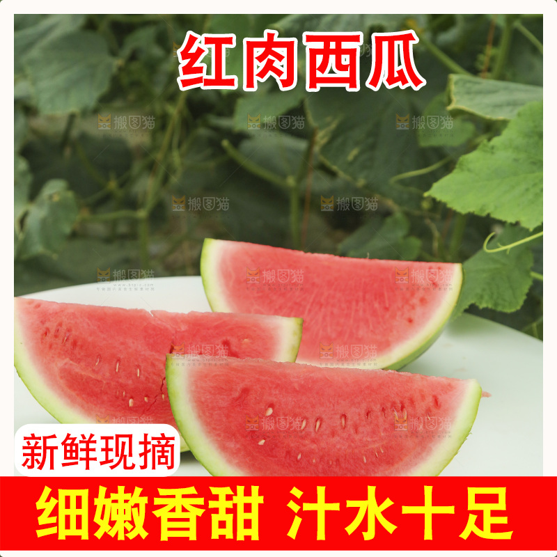 桌子上放着切块的红肉西瓜
