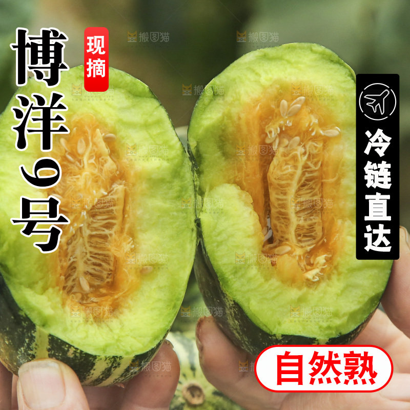 手里拿着博洋9号