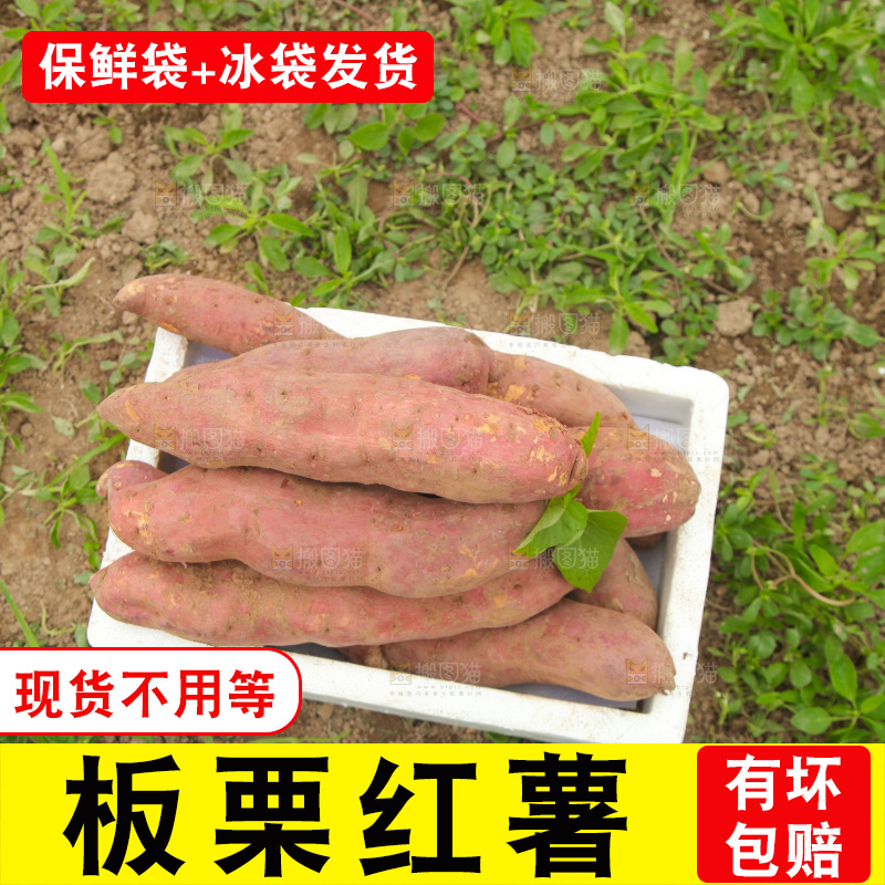 一箱白心板栗红薯