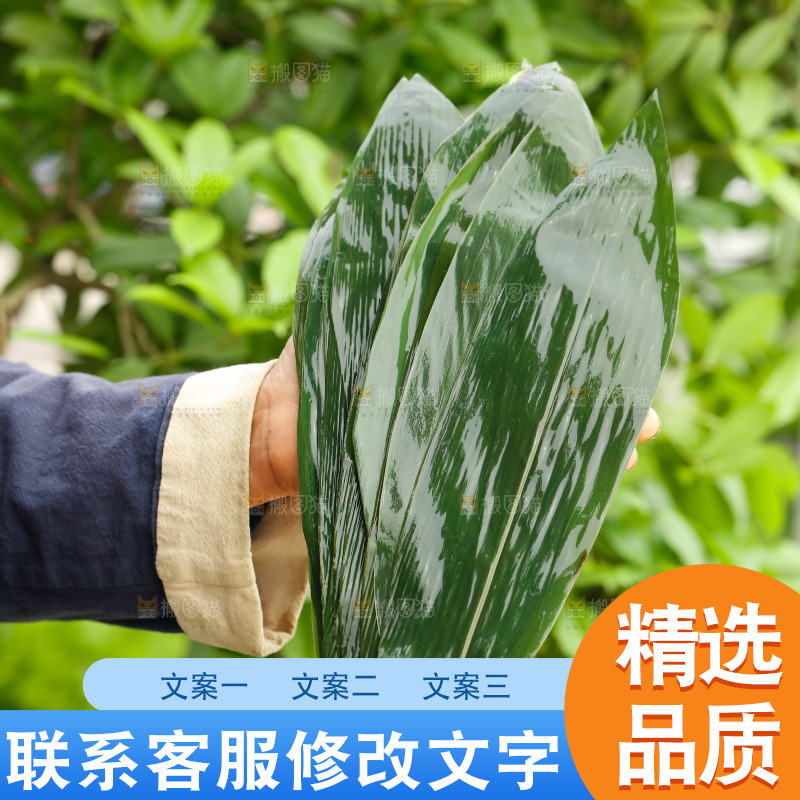 手里拿着粽子叶