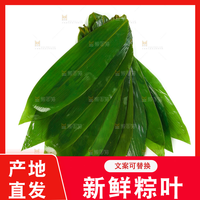 白底上放着新鲜粽叶