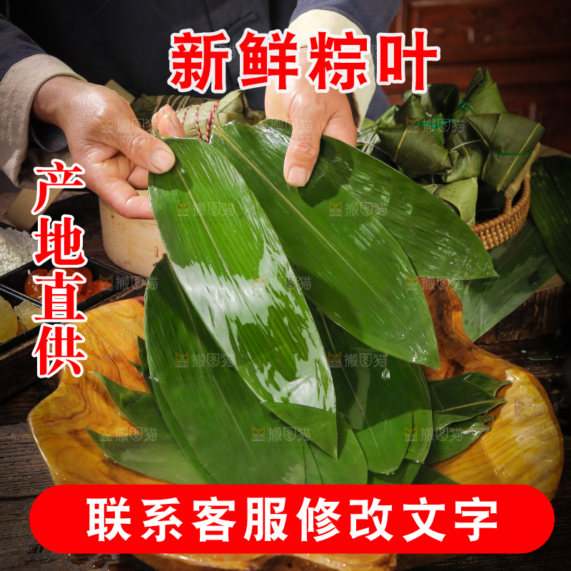手里拿着新鲜粽叶