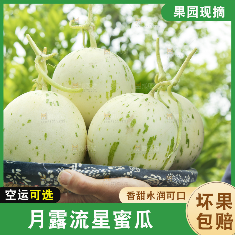 手里端着一篮月露流星蜜瓜