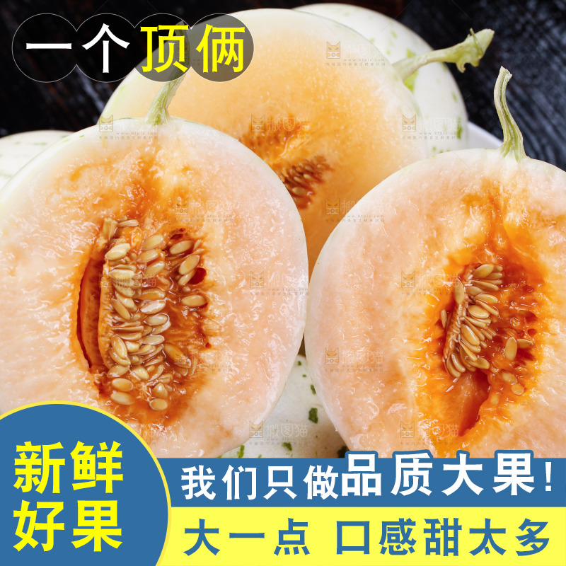 手里拿着红露流星蜜瓜