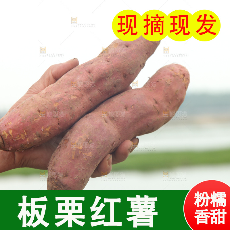 手里拿着板栗红薯