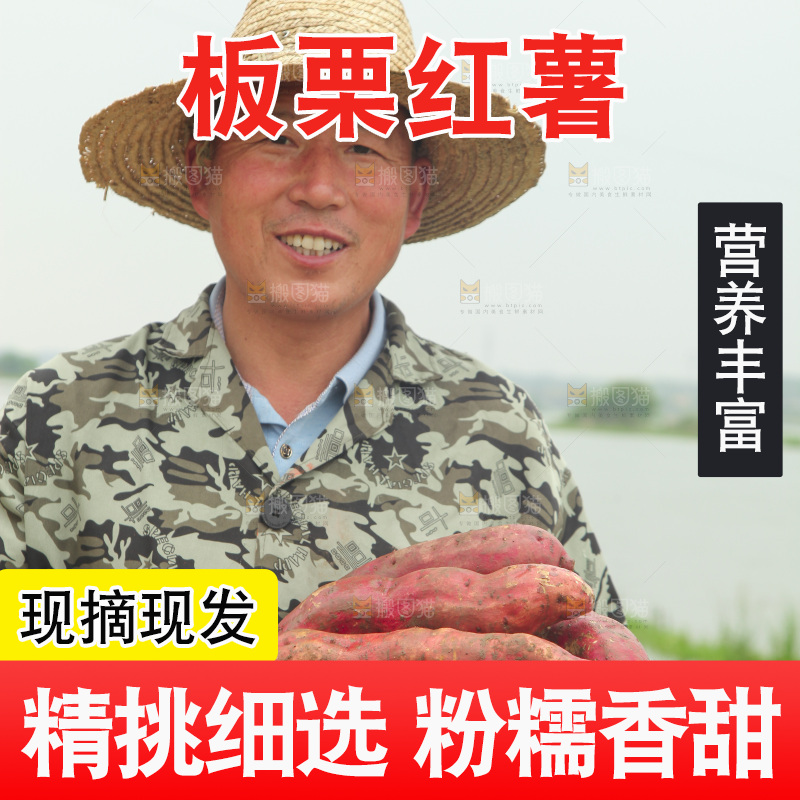 手里端着一篮板栗薯