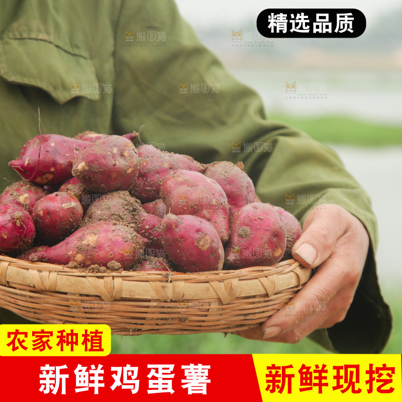 手里端着一篮新鲜鸡蛋薯