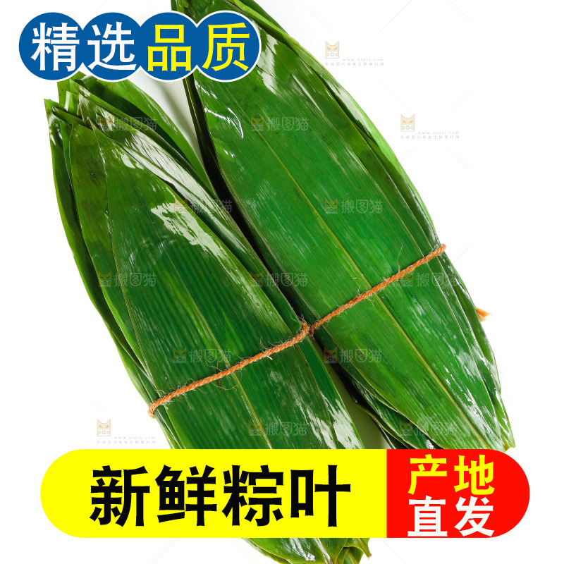 白底上放着新鲜粽叶