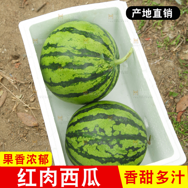 箱子里装着两个西瓜