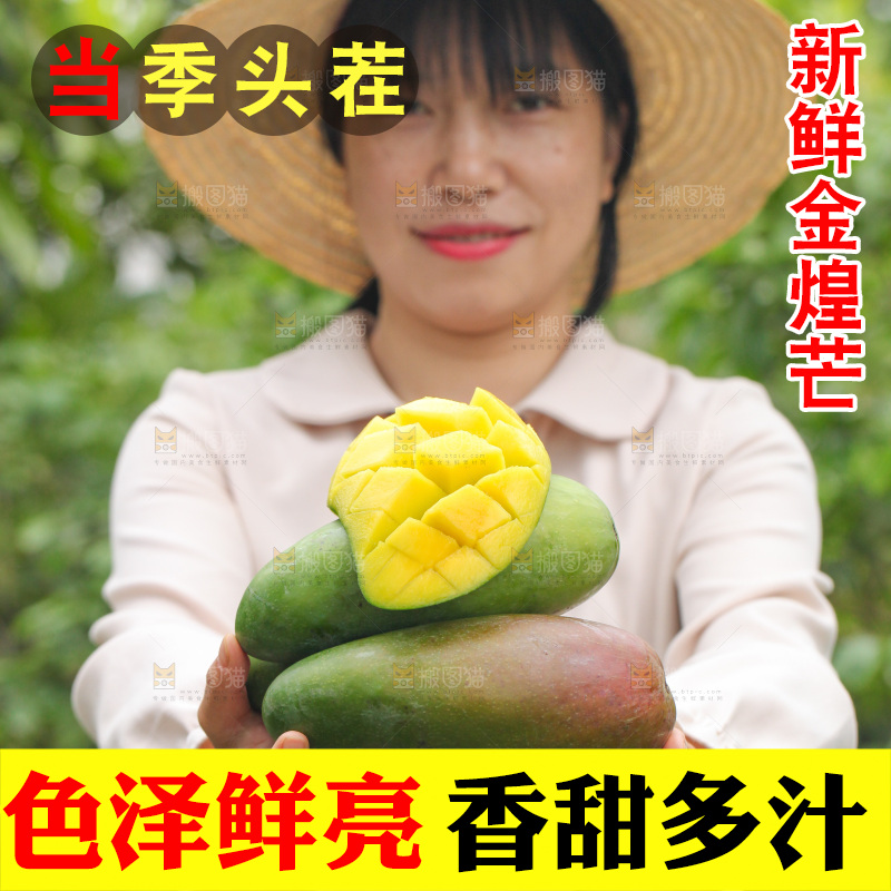 手里捧着金煌芒