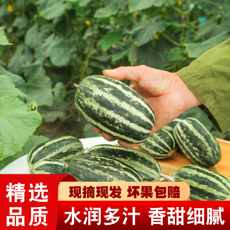 桌子上放着一篮博洋9号