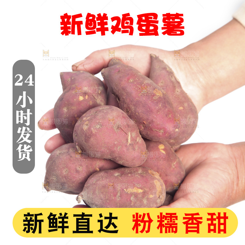 手里捧着小香薯