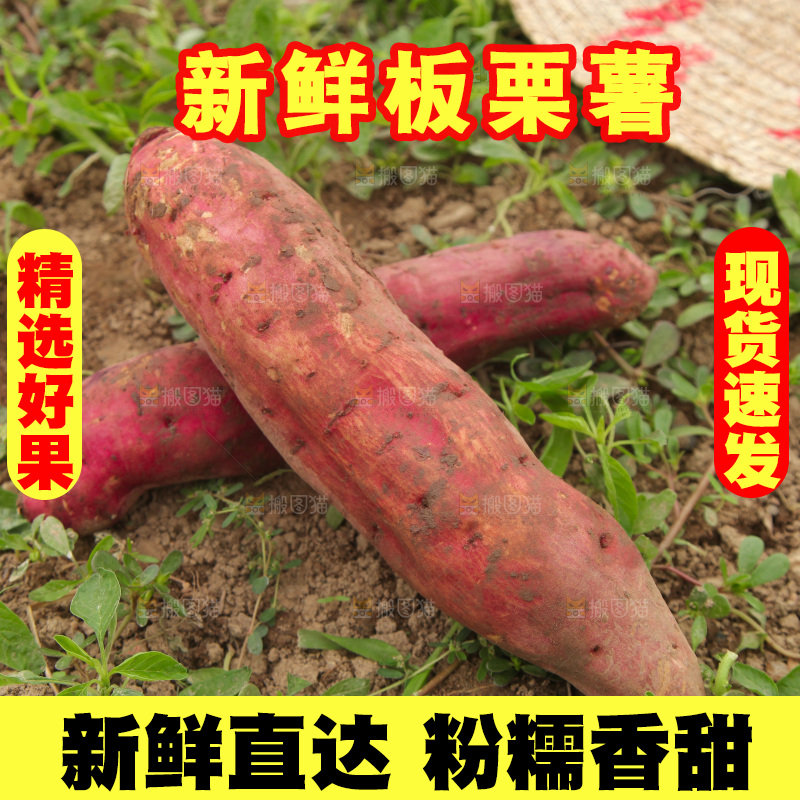 新鲜的板栗红薯