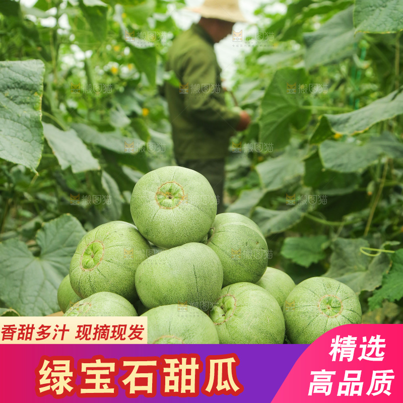 一堆绿宝甜瓜