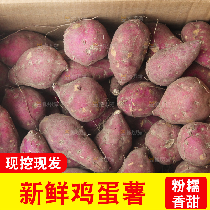 一箱鸡蛋薯
