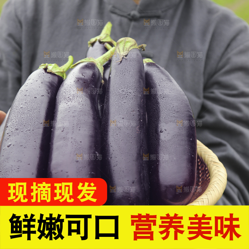 手里端着一篮茄子