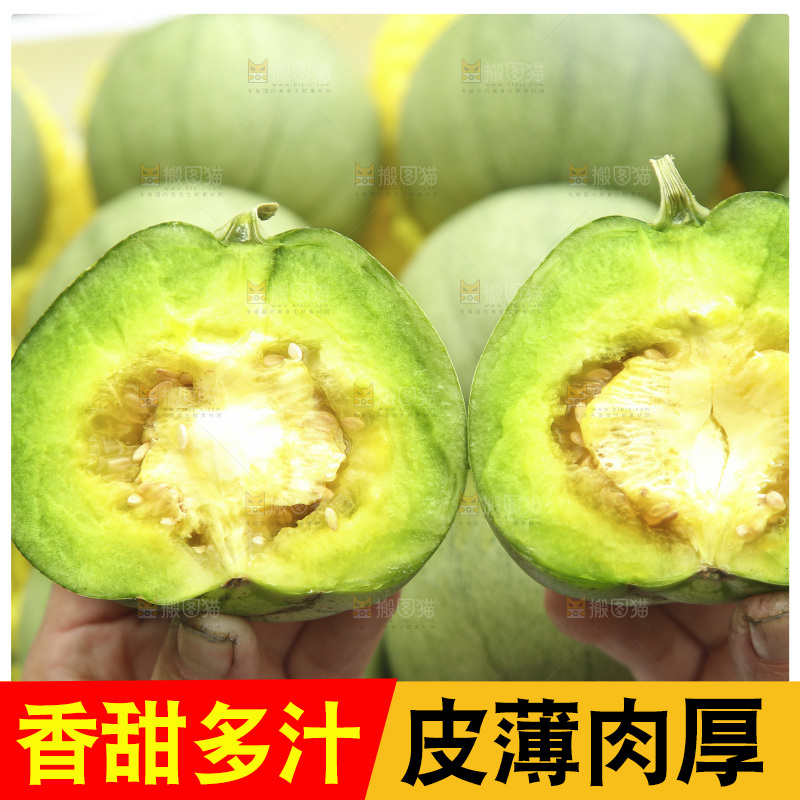 绿宝石甜瓜纹理