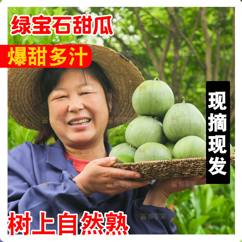 手里端着一篮新鲜绿宝甜瓜