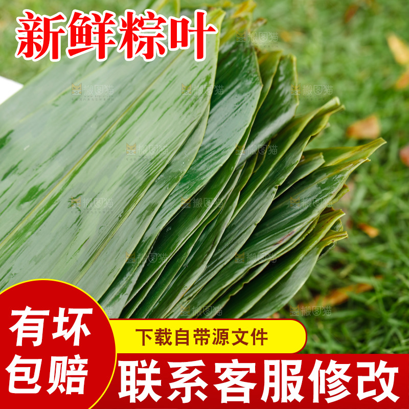 新鲜的粽子叶