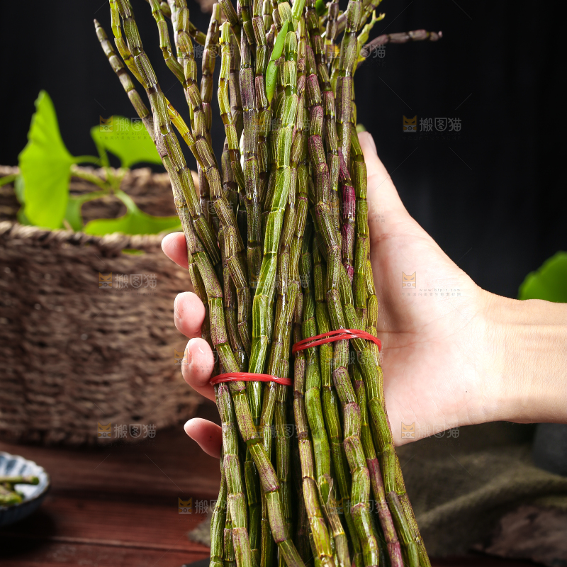手里拿着云南铁皮石斛
