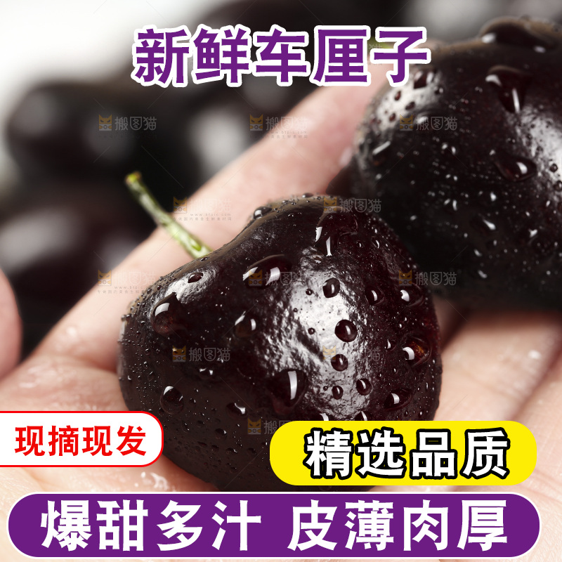 手里拿着黑珍珠