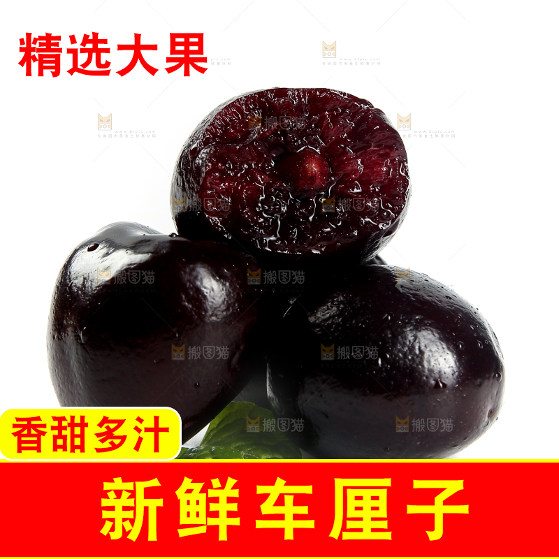 白底上的四川汉源黑珍珠