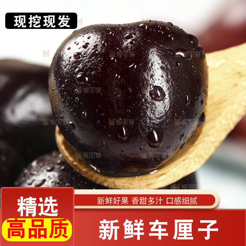 勺子上舀着黑珍珠